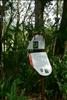 Jardin Botanico (24)